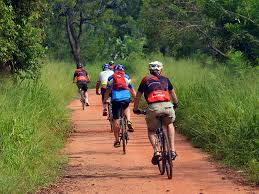 Eco-Friendly Sri Lanka: A 5-Night Cycling Adventure through Nature and Culture